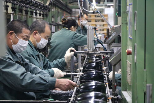 海外訂單激增，長虹電視與冰空洗產(chǎn)品同比大幅增長，網(wǎng)絡技術服務助力業(yè)務拓展